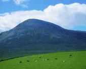 Croagh Patrick